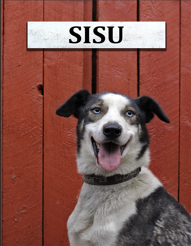 Sisu