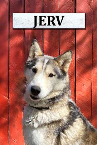 Jerv